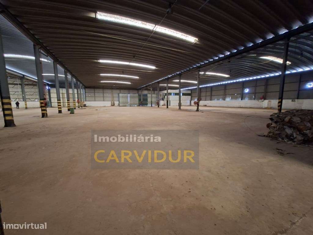 Armazém Industrial de Grande Dimensão - Parque Industrial da Mitren...-5