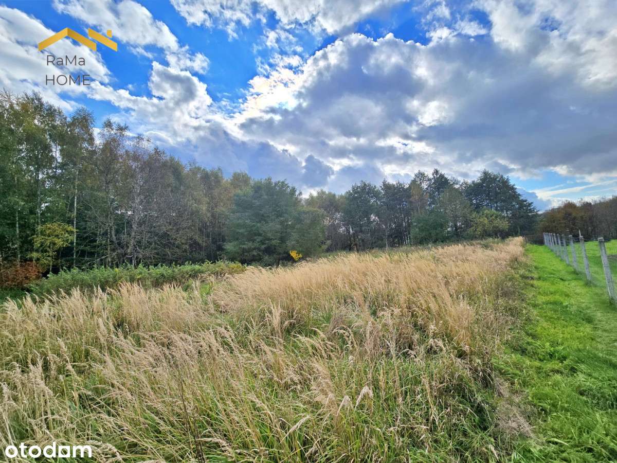 Działa 44,7a z WZ na 3 bliźniaki i dom - Rzeszów - Pełny obrazek: 5/12