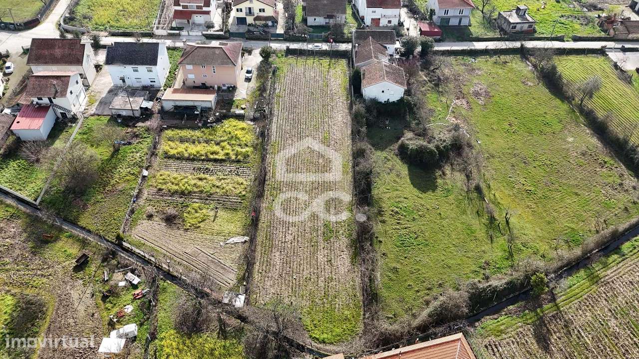 Terreno Rústico com Excelente Acesso e Abundância de Agua para rega –-5