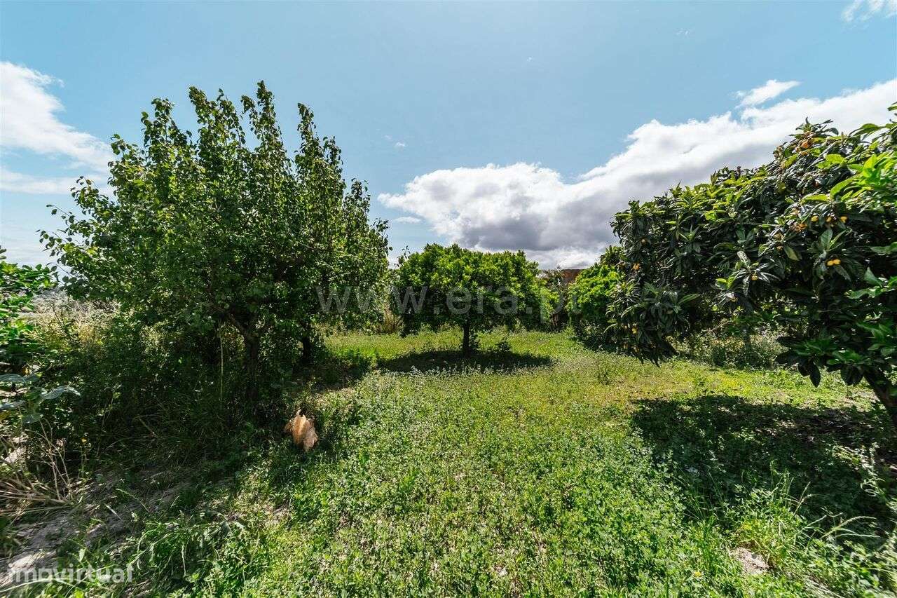 Lote / Fundão, Póvoa da Atalaia - Grande imagem: 4/7