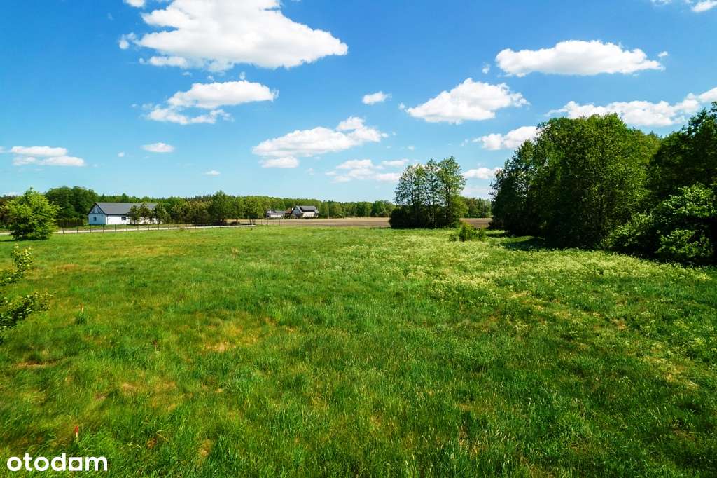 Działki budowlane w otoczeniu lasów i łąk - sielskie klimaty-14