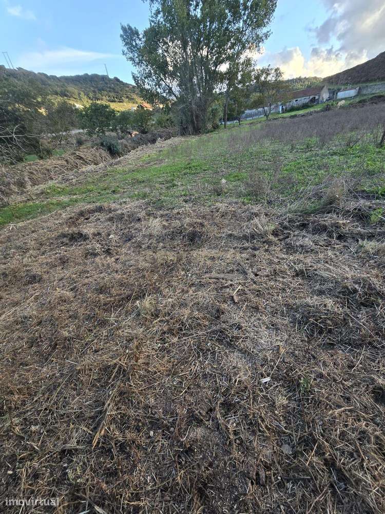 Terreno Rústico em Serradinho com Paisagem Deslumbrante - Grande imagem: 5/12