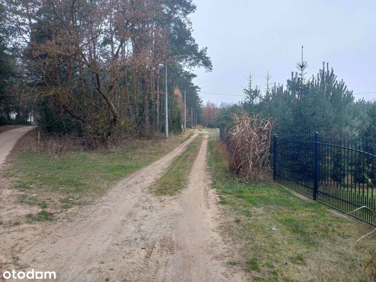 Działka budowlana z lasem-18