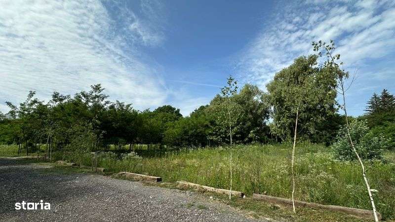 Teren de vanzare Viforata - Imagine principală: 4/5