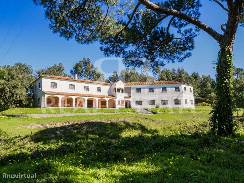COUNTRY COTTAGE | Sesimbra-48