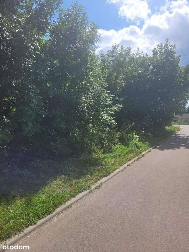 Atrakcyjny teren pod zabudowę komercyjną - Pełny obrazek: 5/5