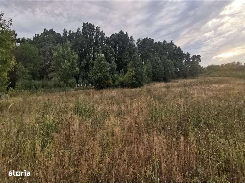 RECO Parcele de vanzare Paleu - Imagine principală: 1/2