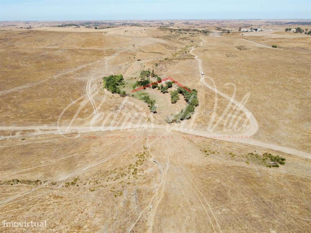 Propriédade de 119ha com varias ruinas - Castro Verde-6
