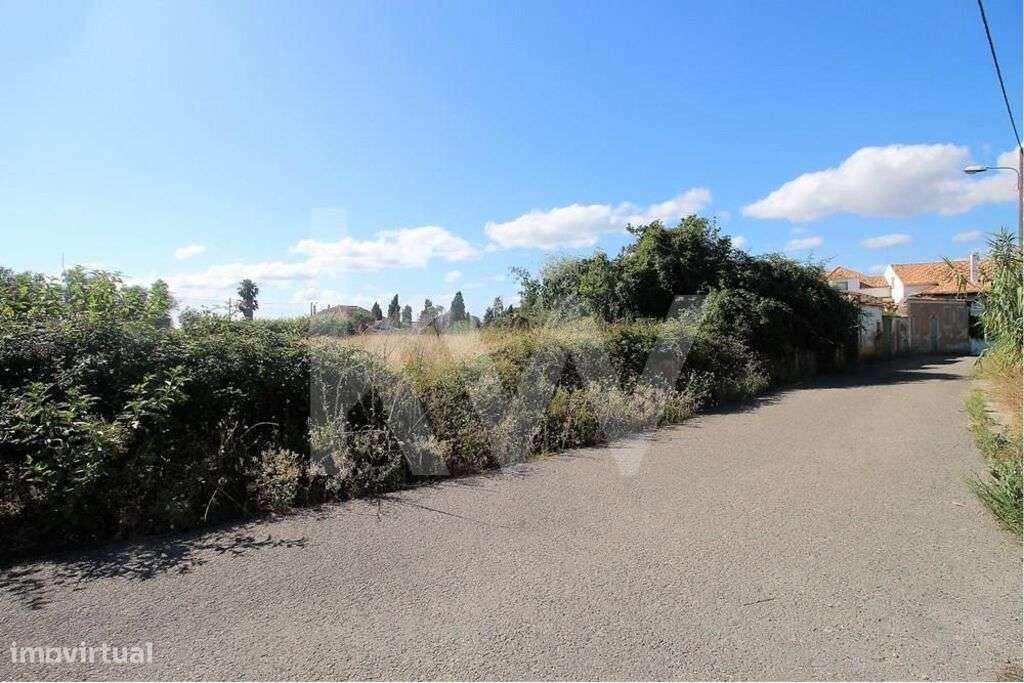 Terreno com 2500m2 a 10min do centro de Coimbra | Duas Frentes - Grande imagem: 5/15