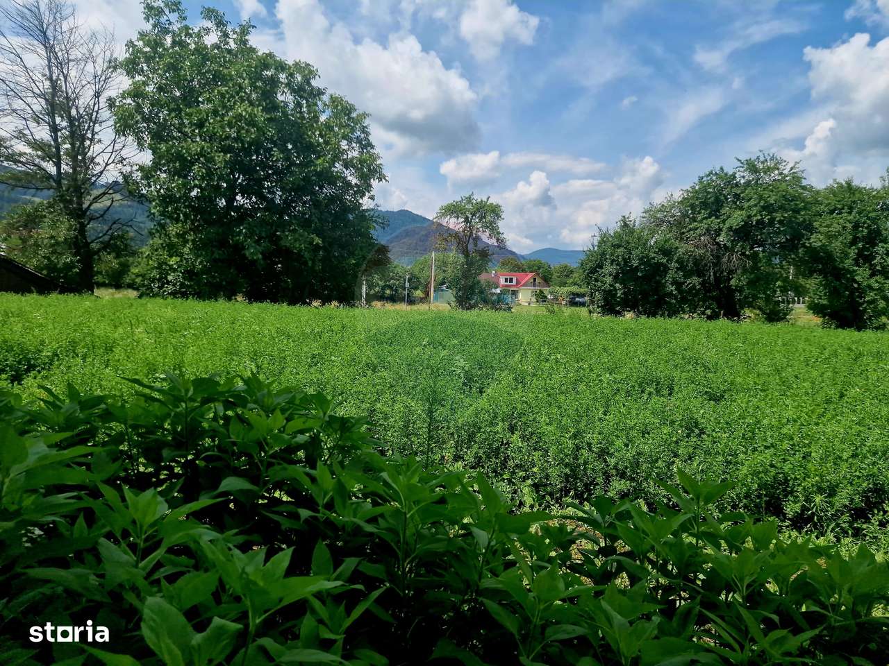 Teren 2743 mp, 2 fronturi, asfalt – Viișoara, Neamț - Imagine principală: 4/20