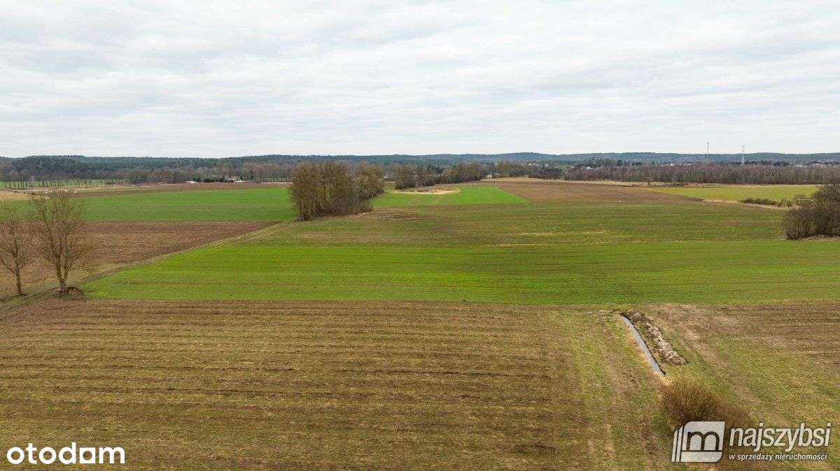 Kołczewo - ogromna działka rolna w dobrej cenie - Pełny obrazek: 5/10