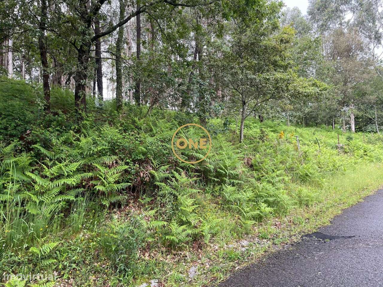 Venda Terreno - Grande imagem: 5/11