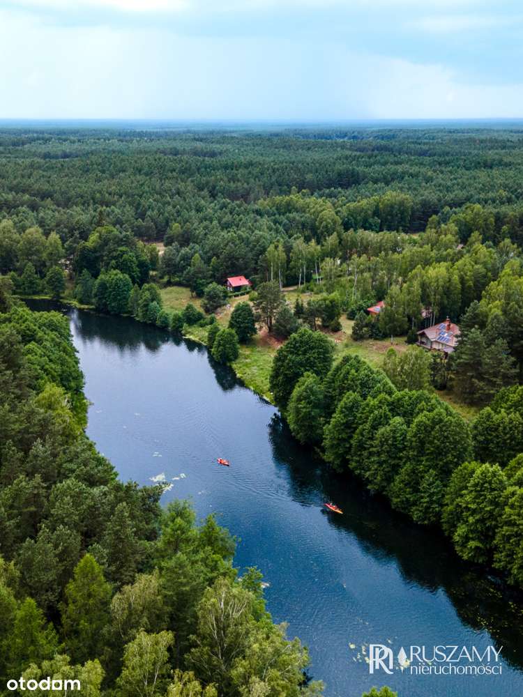 Bory Tucholskie - działki objęte Mpzp-10