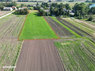 Królewice, 50 km od Krakowa, działka pod zabudowę - Pełny obrazek: 4/8
