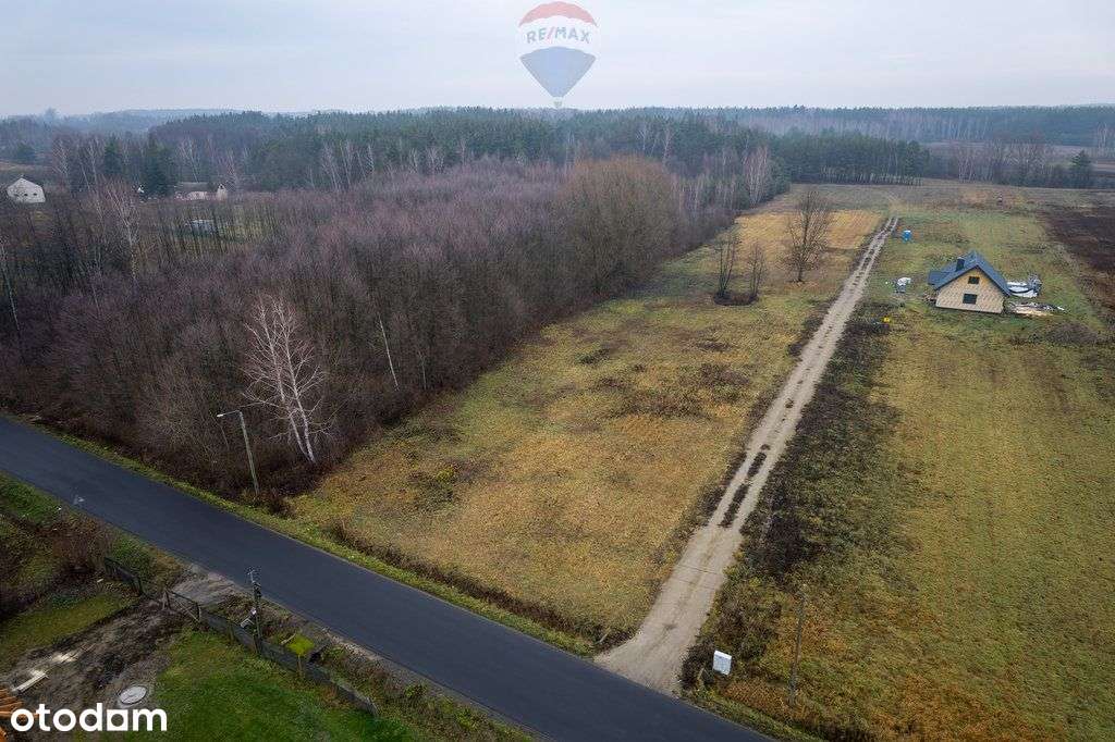 Działa Gaj Żelechowski - Pełny obrazek: 4/9