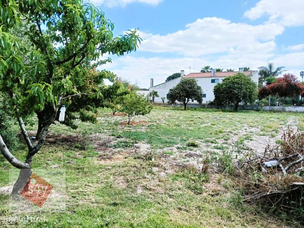 Quintinha com Moradia Térrea em Santo Isidro de Pegões!-17