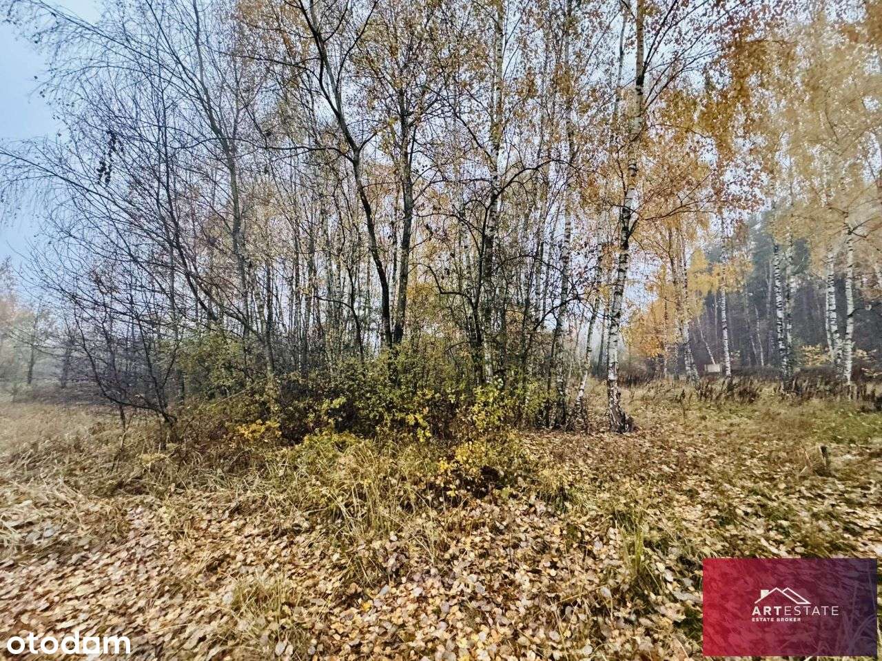 Działka Budowlana Słowak gm. Aleksandrów Ł.-5