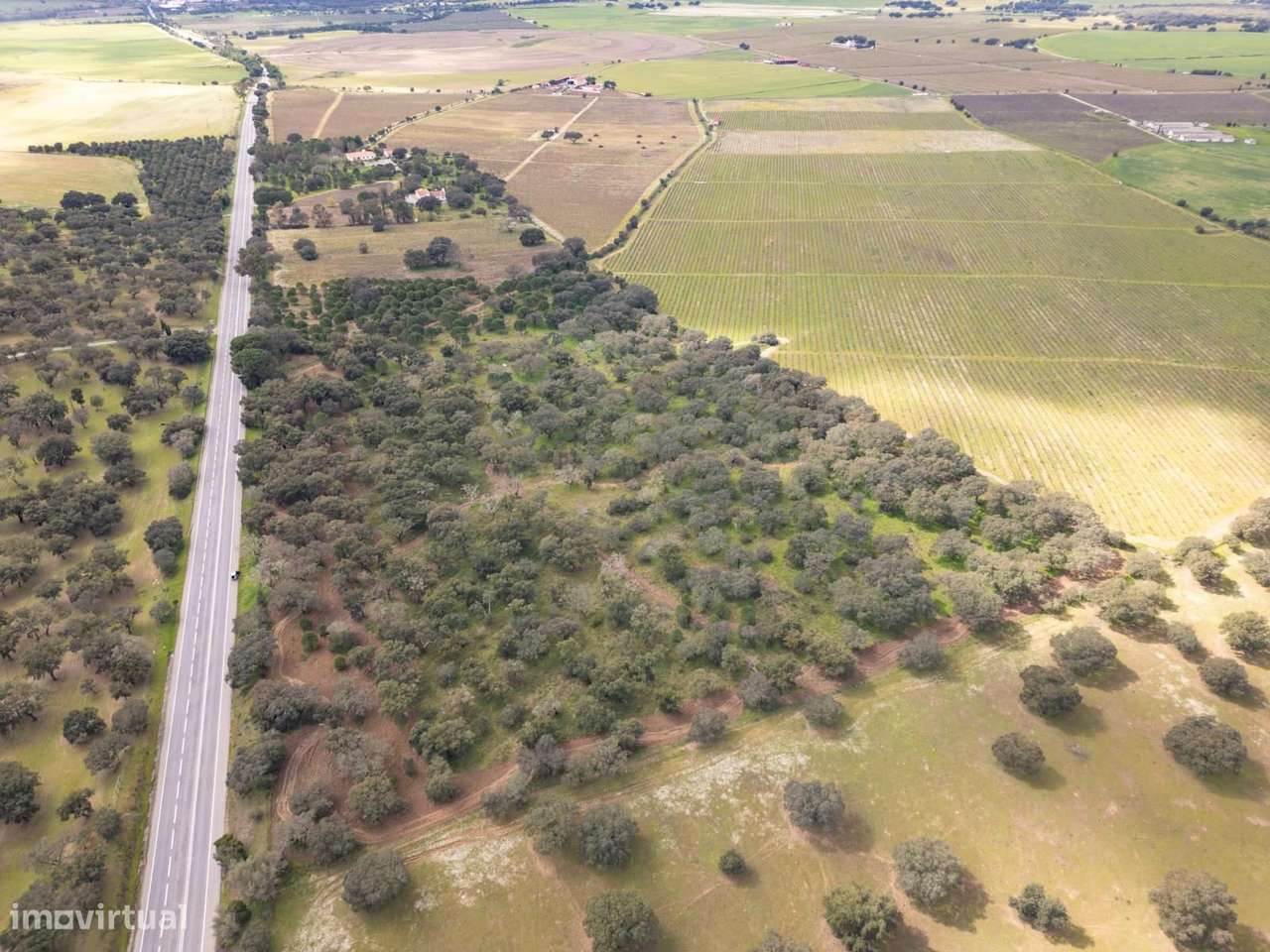 Terreno Rústico 7.5 ha, Quinta da Amoreira, Montemor-o-Novo - Grande imagem: 4/25
