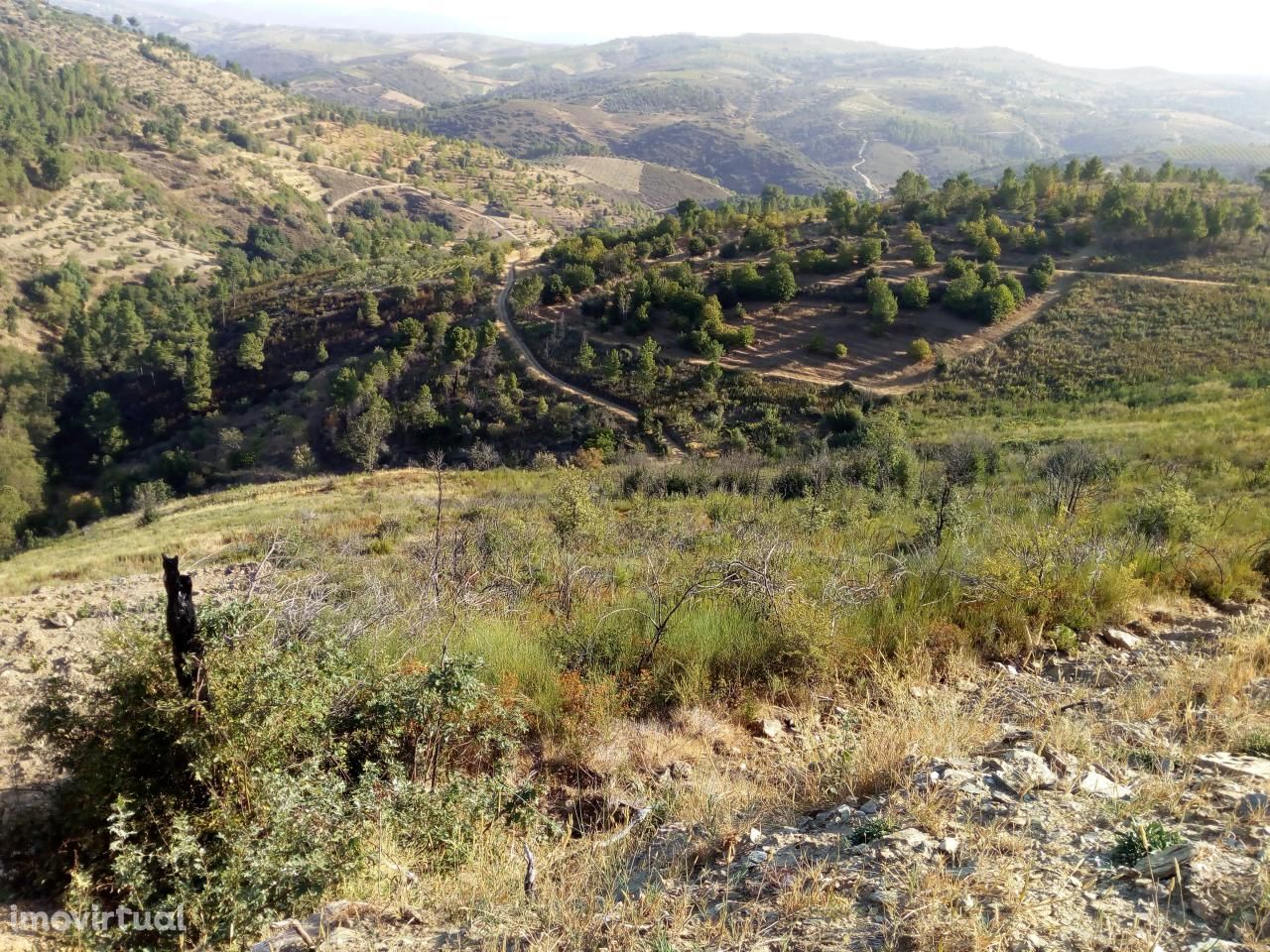 Terreno situado na Vaqueira, Póvoa de Penela