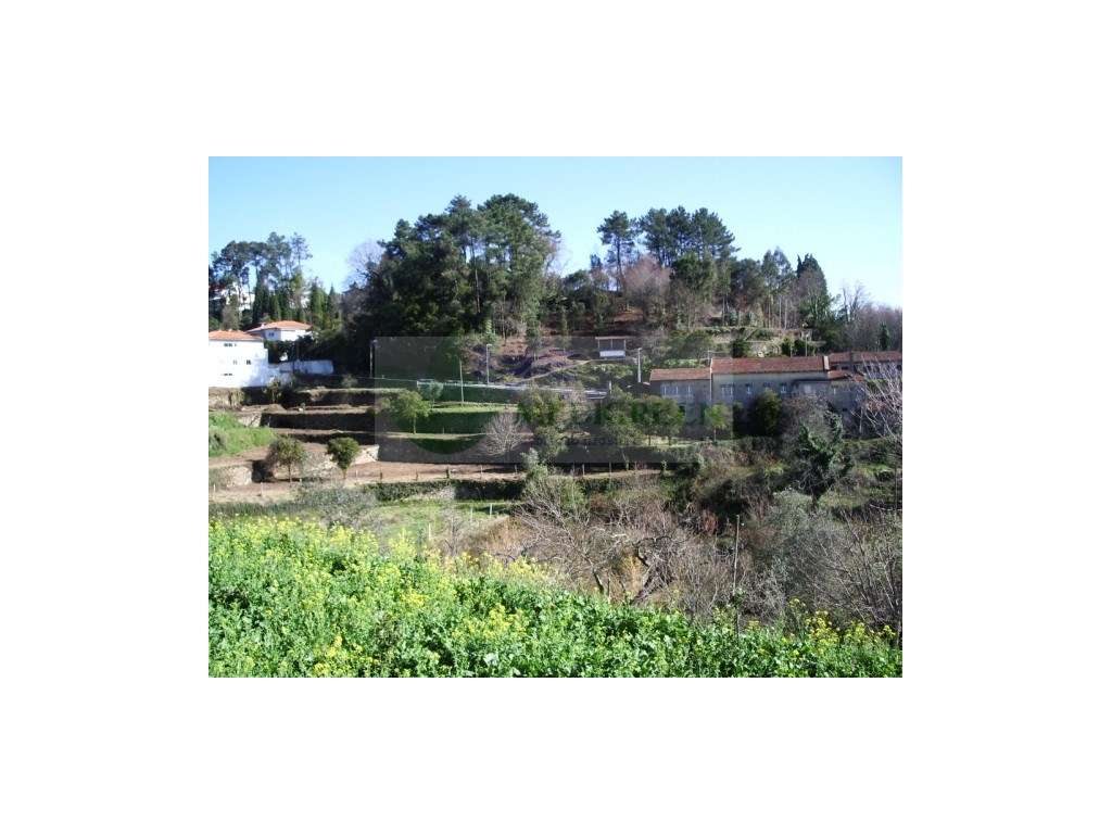 MAGNIFICA QUINTA NO CENTRO DE SEVER DO VOUGA COM EXCELENTES ACESSOS - Grande imagem: 4/46