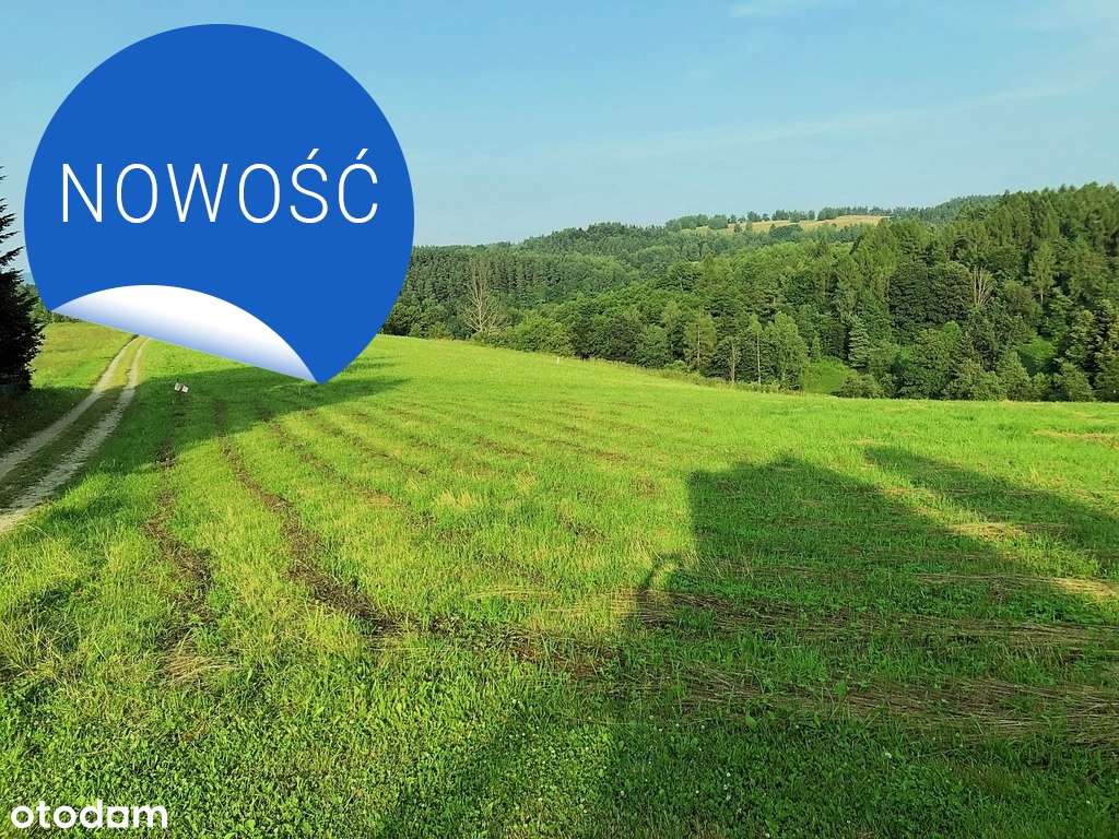 Bajeczna działka rezydencjonalna w Bieszczadach - Pełny obrazek: 4/9