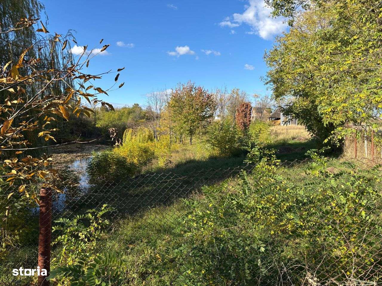 Teren cu lac privat- Albolta, jud Arges - Imagine principală: 2/6