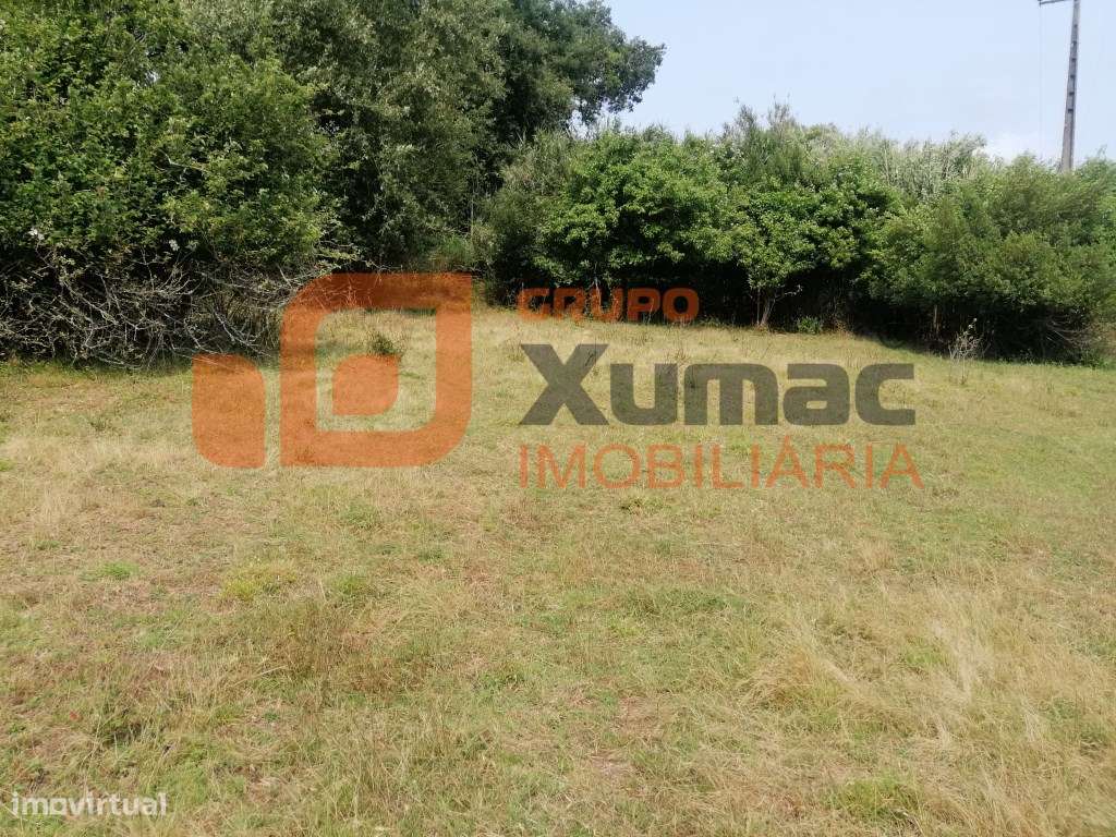 2 Moradias para recuperação total!!-16