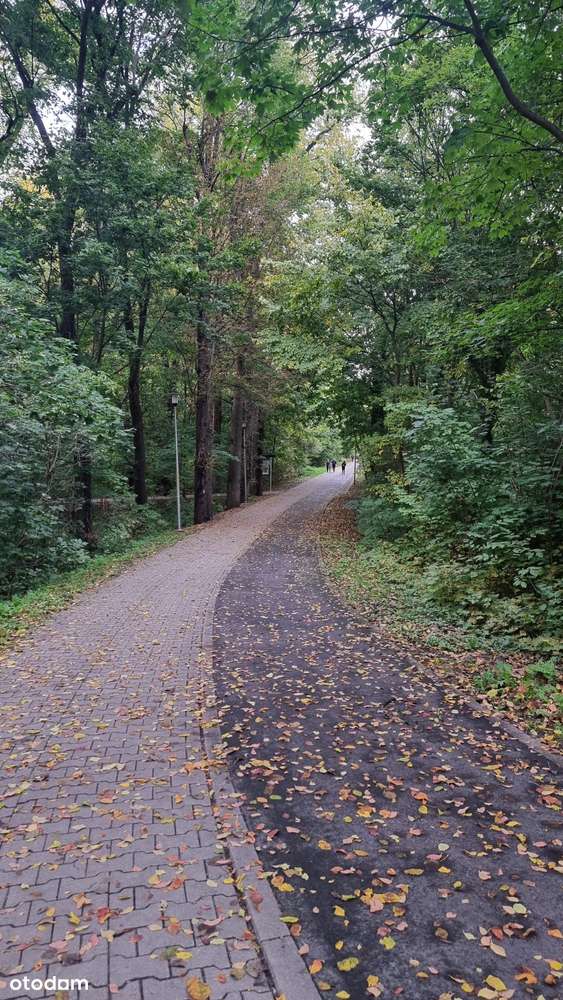 Swarzędz |4 pokoje| os. Czwartaków| przy jeziorze-18