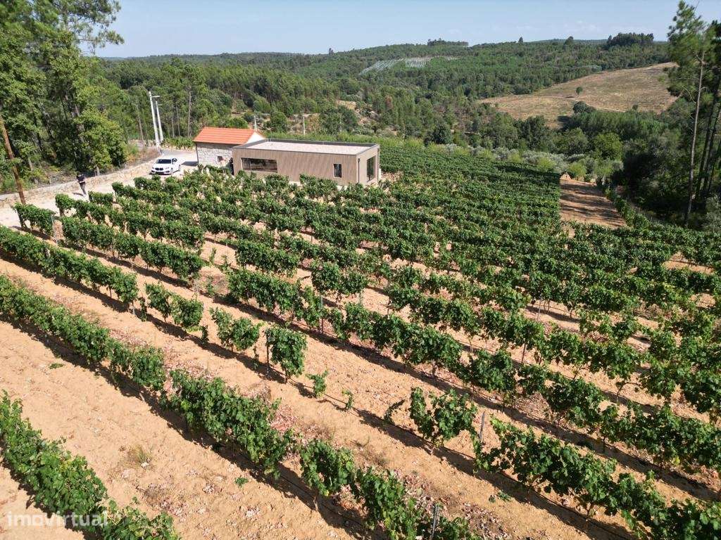 Quinta T0 Venda em Antas e Matela,Penalva do Castelo - Grande imagem: 4/9