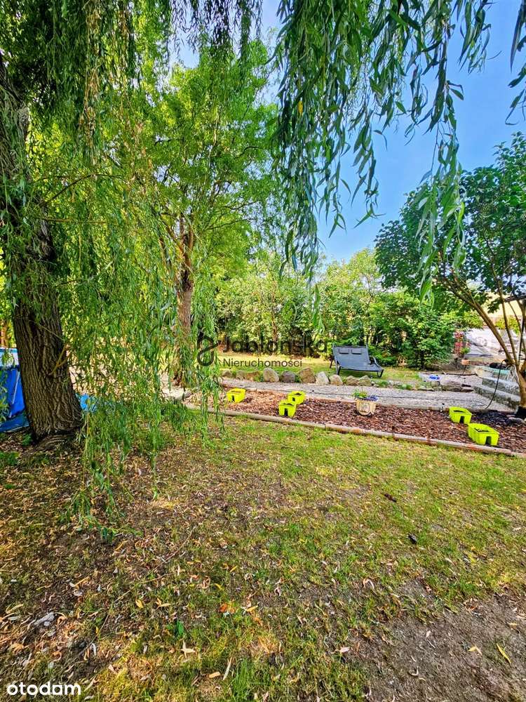 Kameralna działka ROD, domek całoroczny! Bydgoszc-9