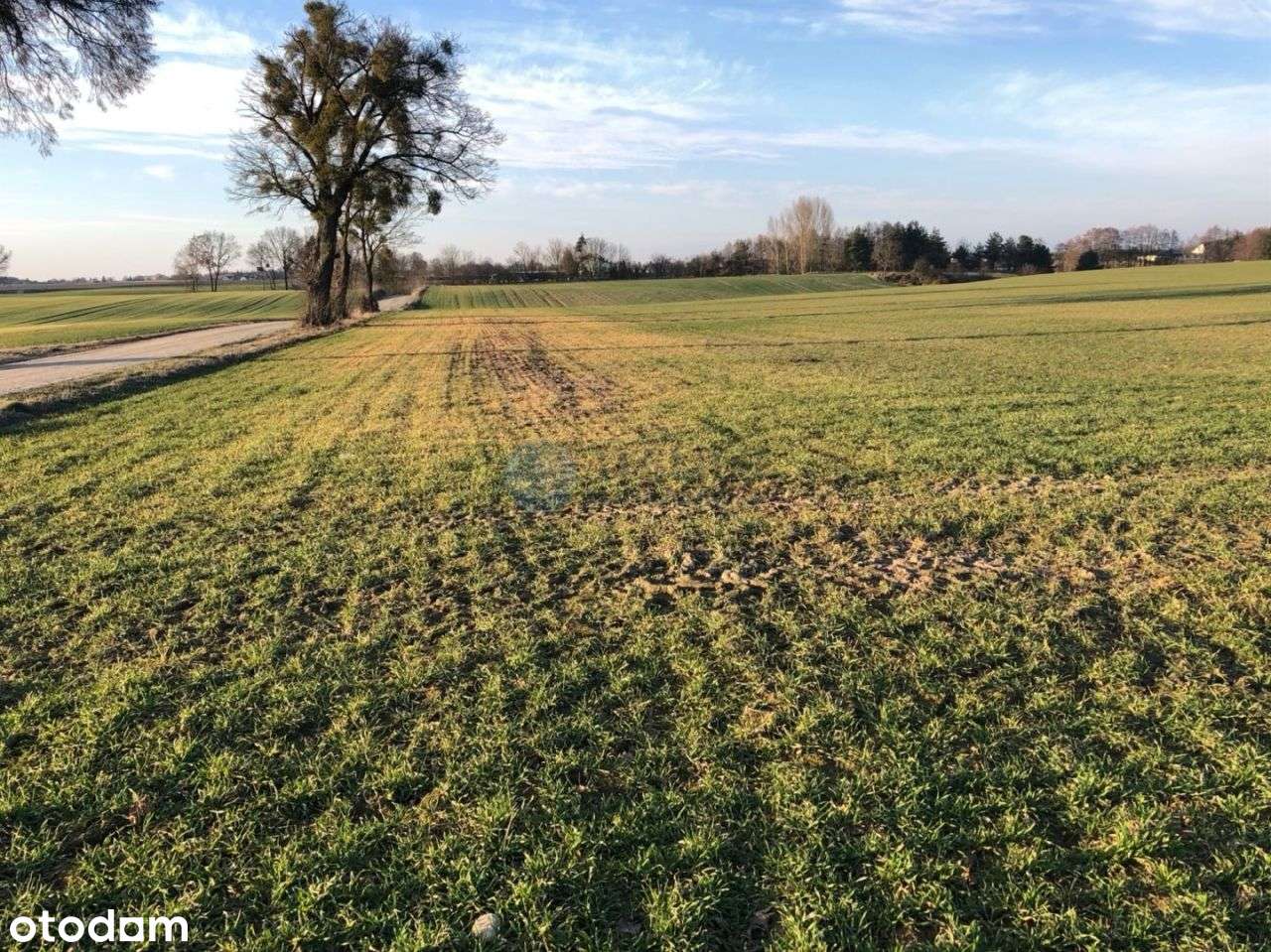 Teren inwestycyjny 7,14 ha Stary Dwór k. Koronowa