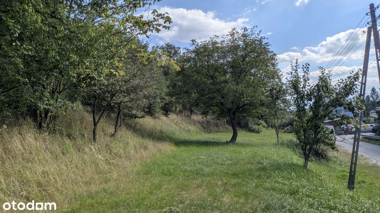 1)DOM,  Działka 1164 m2 (również 2)Działki: 2019 m2 i 3) 3200 m2) - Pełny obrazek: 4/19