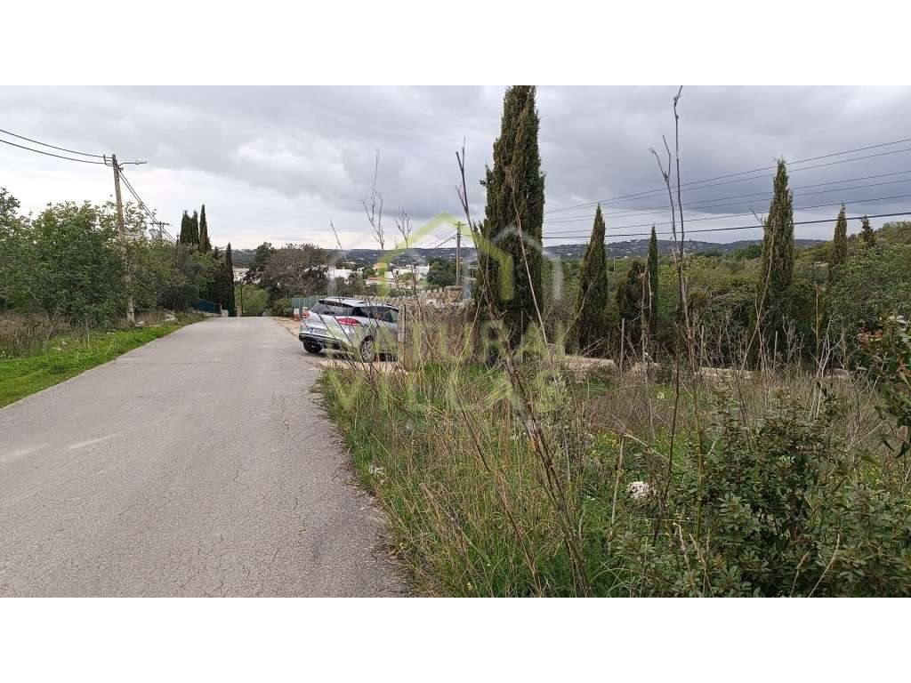 Terreno Rústico em Gorjões, Santa Bárbara de Nexe - Grande imagem: 4/4