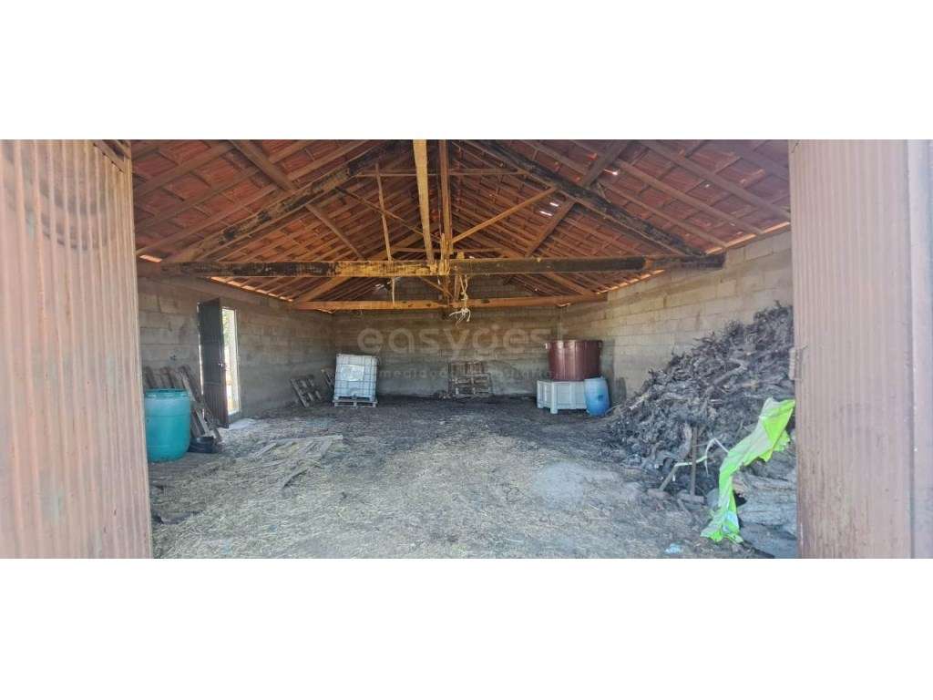 Armazém e terreno agrícola em Estevais, Torre de Moncorvo - Grande imagem: 5/12