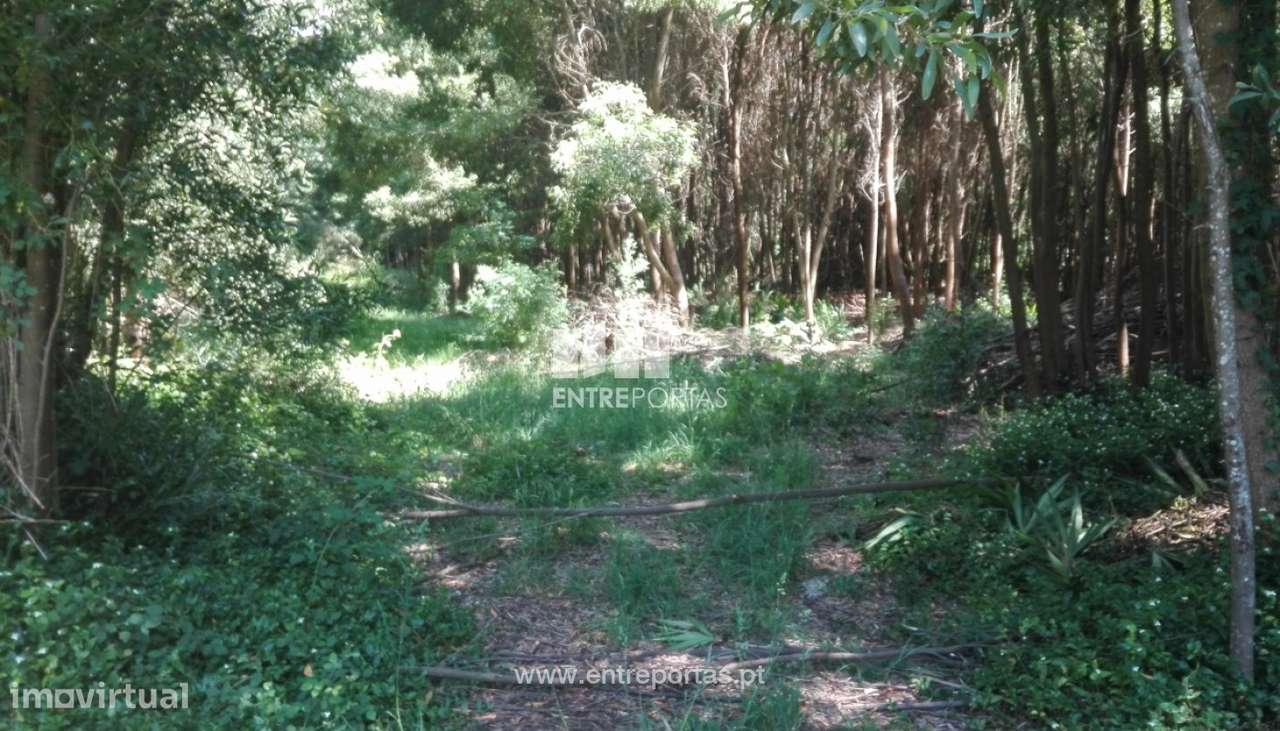 Terreno para venda, Cristelo, Caminha - Grande imagem: 2/5