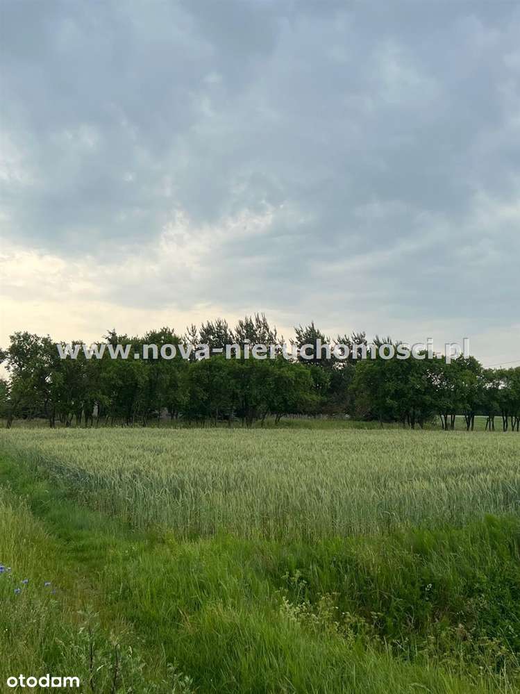 Dom Malanowo Stare-7