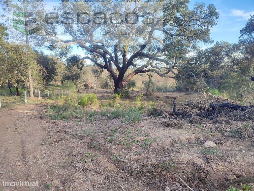 Terreno rústico, Povoa Rio Moinhos, - Grande imagem: 4/23