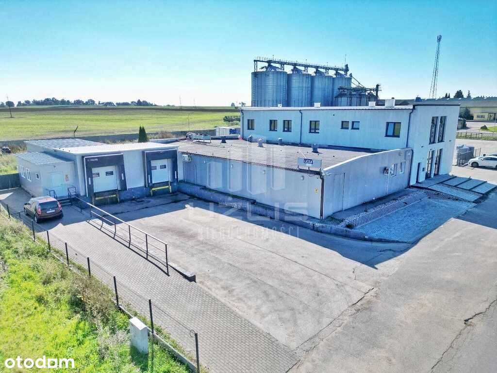 Budynek pod działalność transportowo-logistyczną - Pełny obrazek: 3/20