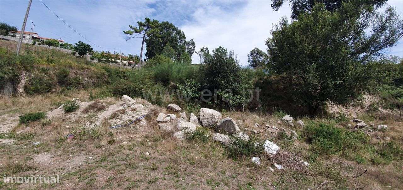 Armazém - Grande imagem: 4/20