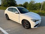 Alfa Romeo Stelvio 2.0 Turbo Veloce Q4 - 13