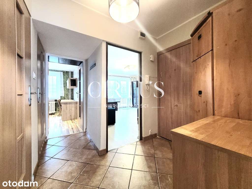 3 pokojowe, 53m2, Staszica,-15