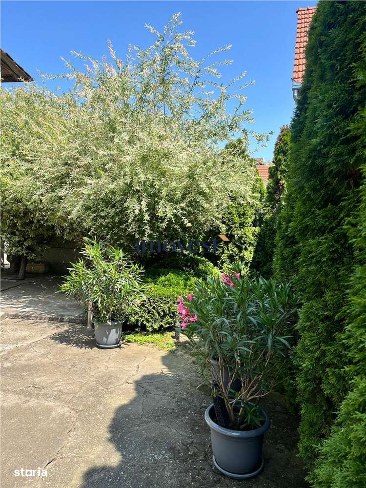 Casa de vanzare in Satu Mare - Imagine principală: 4/18