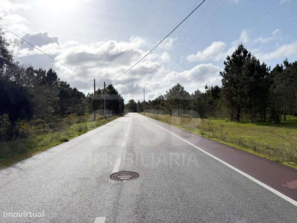 Oportunidade - 5 ha | Zona Industrial Salvaterra de Magos-9