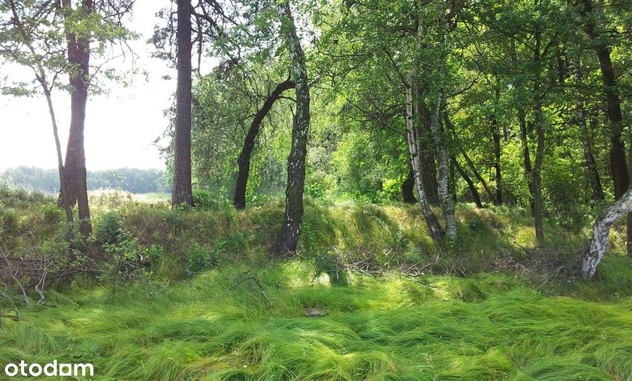 Atrakcyjna działka - Pełny obrazek: 5/12