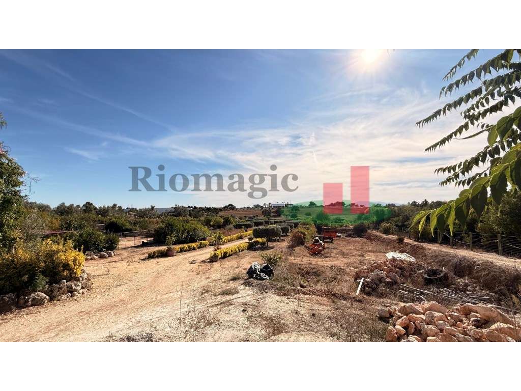 Terreno rústico***RIOMAGIC*** - Grande imagem: 5/57
