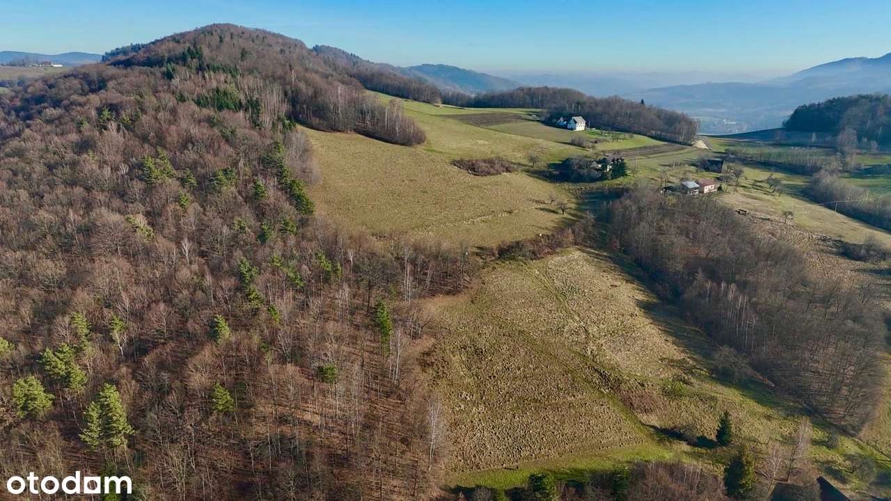 Działka rolno-budowlana z potencjałem-Laskowa - Pełny obrazek: 3/8