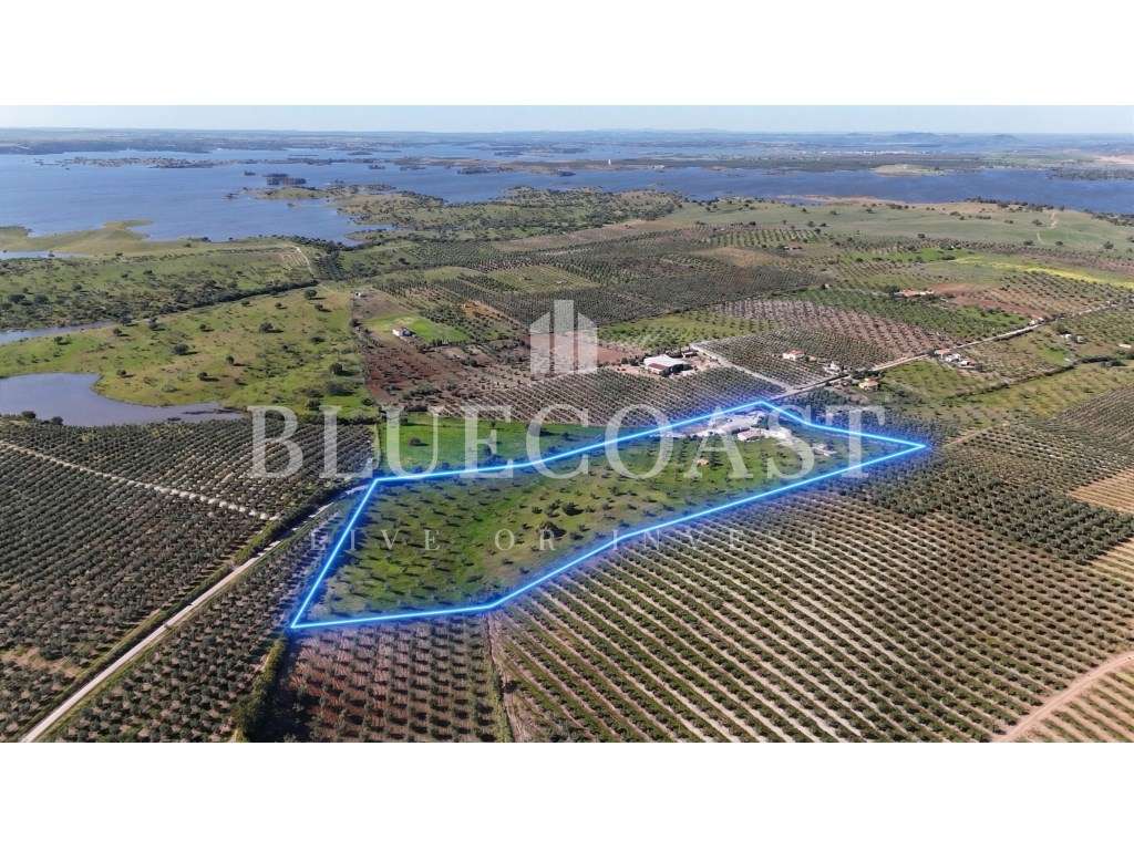 Quinta de charme em zona tranquila, Beja-0