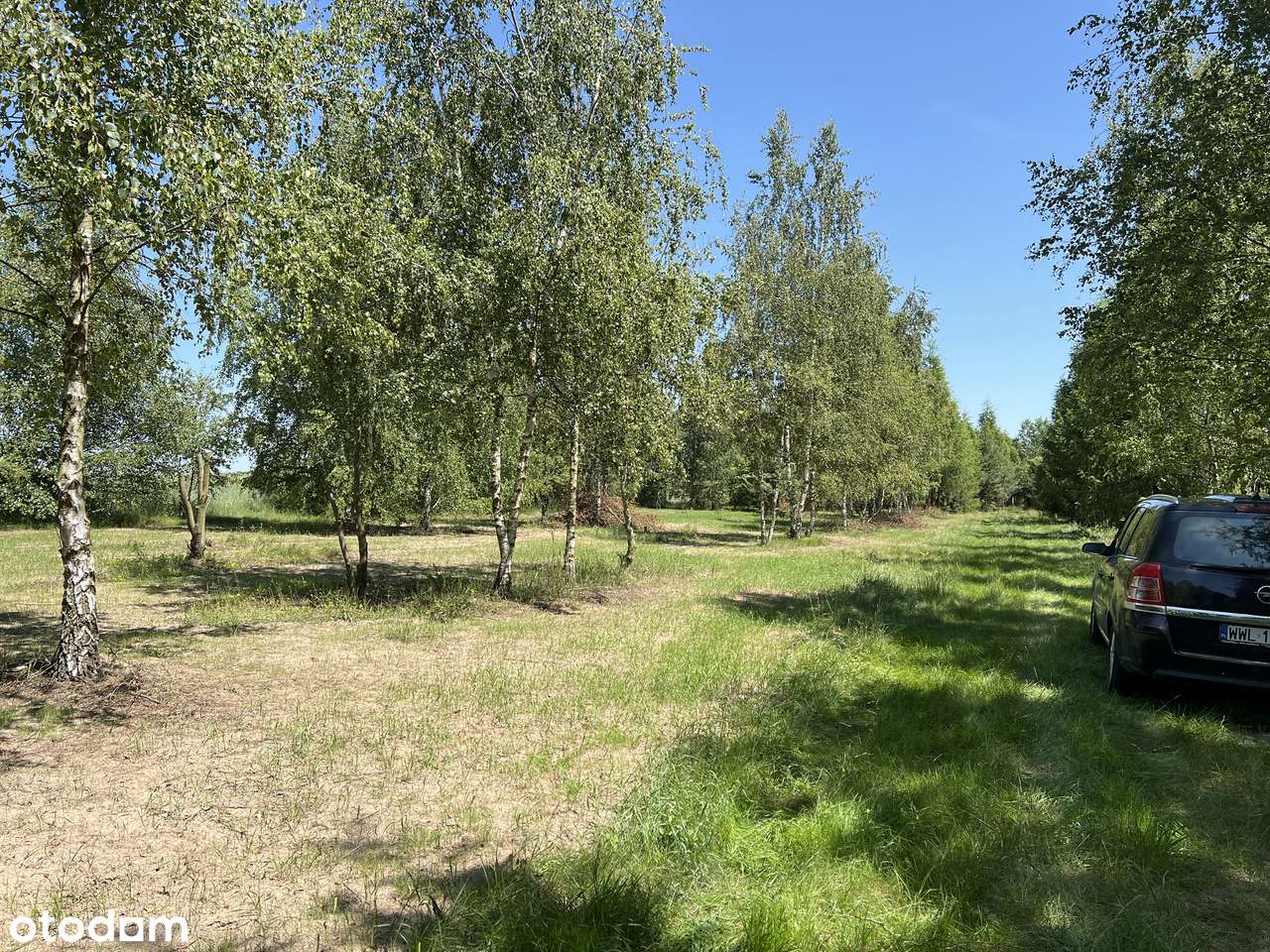Malownicza, zadrzewiona działka nad Wkrą . OKAZJA-3