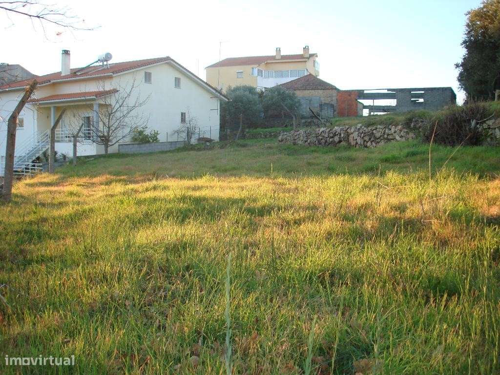 Terreno urbano em União Das Freguesias De Celorico (São Pedro E San... - Grande imagem: 4/8