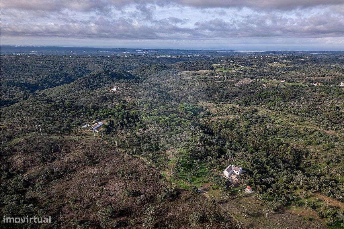 Terreno  para venda - Grande imagem: 4/37